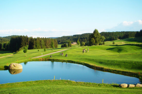 422_Sterngartl_1500x1000